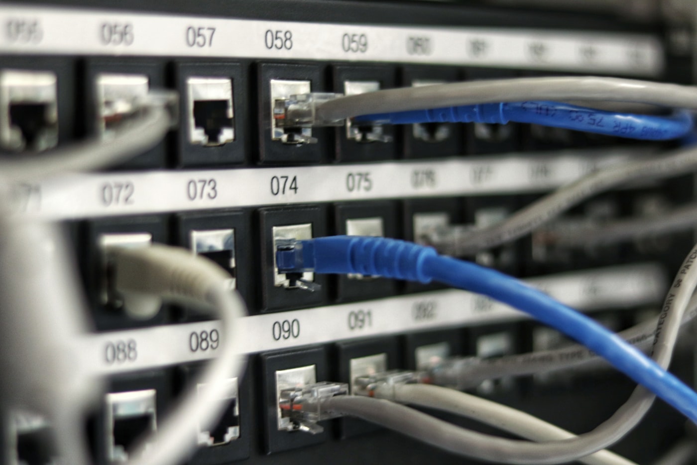 A numbered network patch panel with blue and grey cables plugged into separate ports