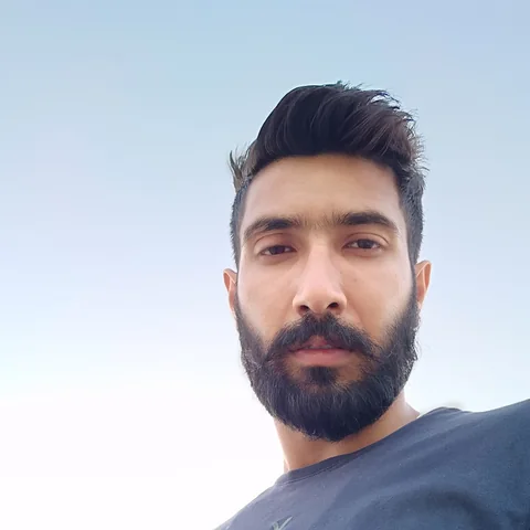 Ankush Sohal, Software Developer